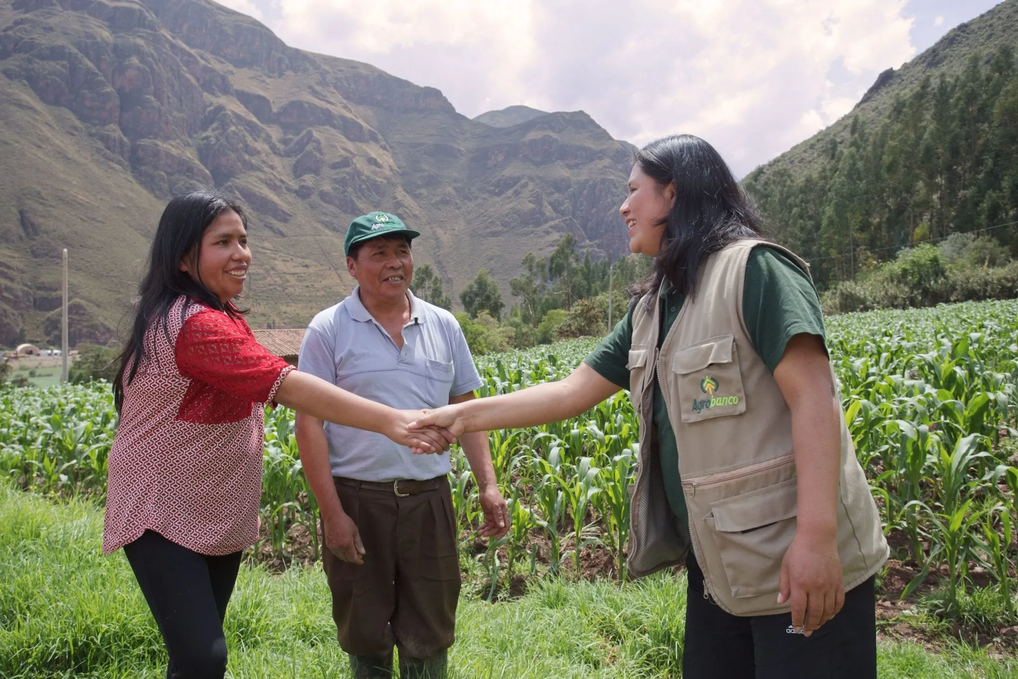 Agrobanco otorgó 1811 créditos por 13.3 millones  de soles a agricultores y organizaciones agrícolas