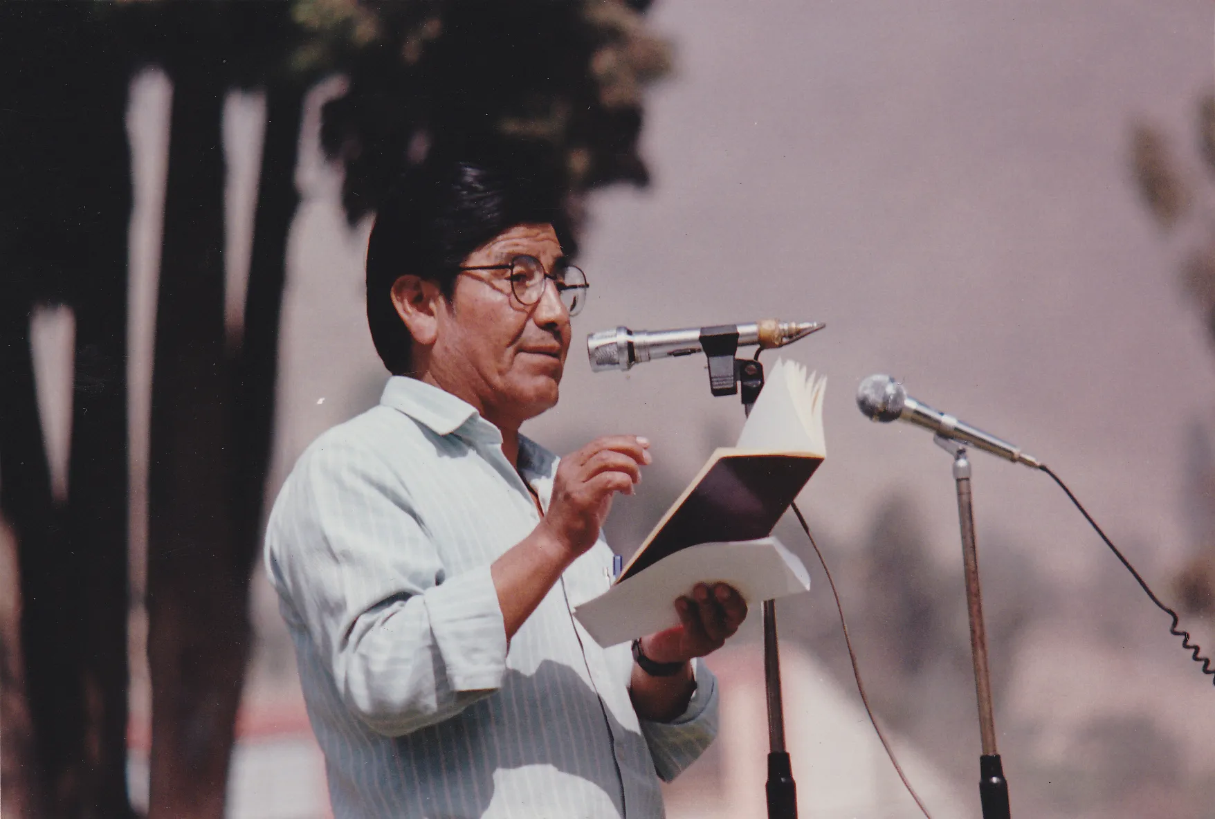 Cesáreo Martínez: De la rosa, el poeta y el tirano