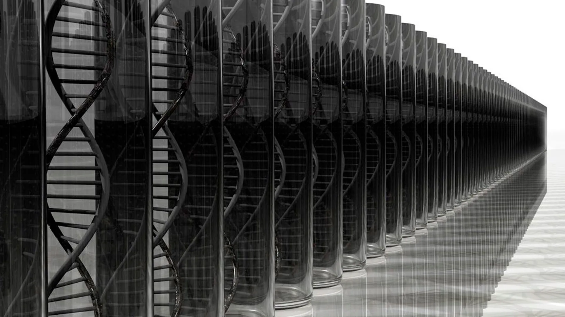 De borrachos y abstemios o genética versus epigenética