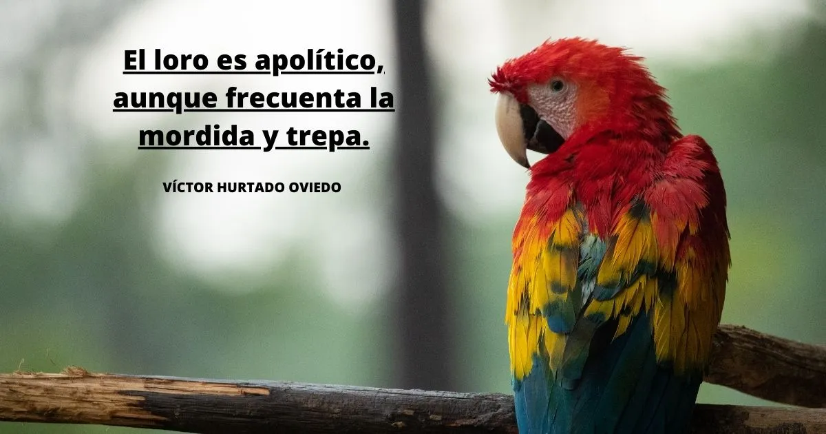 Solamente unas pocas palabras sobre el loro