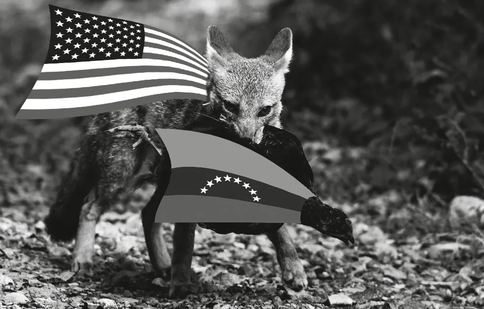 El zorro libre en el libre gallinero