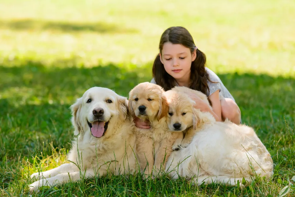 Los perros ya no son solo mascotas: el vínculo humano-canino redefine la estructura familiar | Foto: Depositphotos