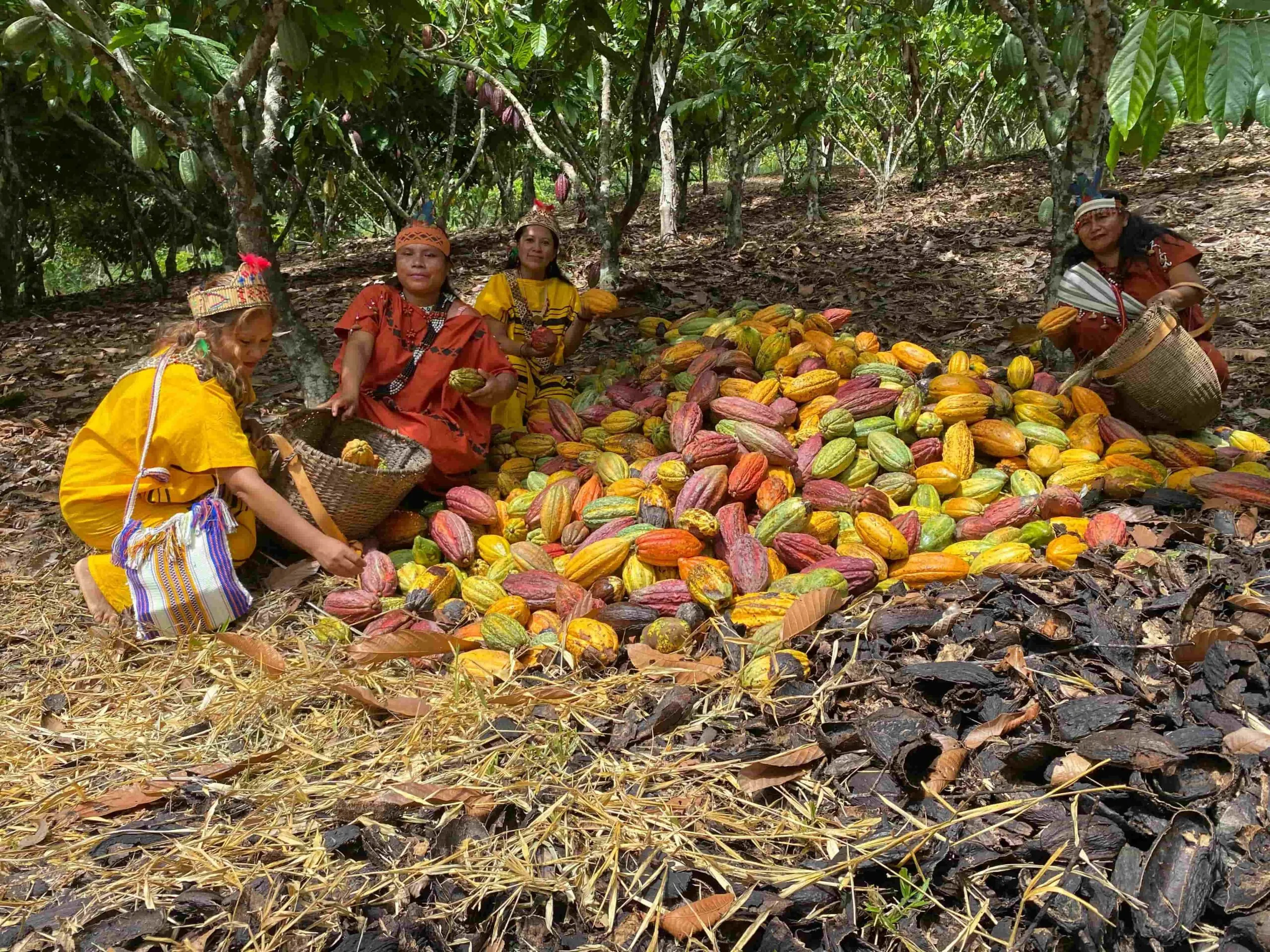 La provincia juninense de Satipo se alista para el "II Festival Montañas de Cacao Finos de Aroma" que se desarrollará del 30 de mayo el 2 de junio (Álvaro Farroñay)