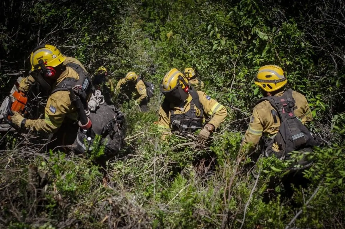 Argentina anuncia la extinción de 22 de los 32 incendios que han quemado 15.000 hectáreas en la Patagonia 5 Argentina anuncia la extinción de 22 de los 32 incendios que han quemado 15.000 hectáreas en la Patagonia