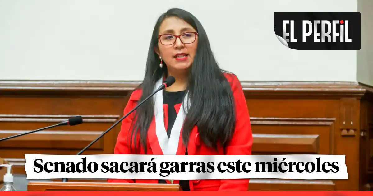 Ruth Luque advierte que el Senado podría desnaturalizar el dictamen aprobado por Diputados