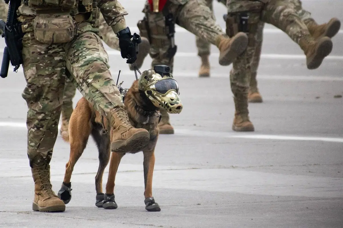Detenidos tres militares chilenos tras ser sorprendidos con un alijo de droga 4 Detenidos tres militares chilenos tras ser sorprendidos con un alijo de droga