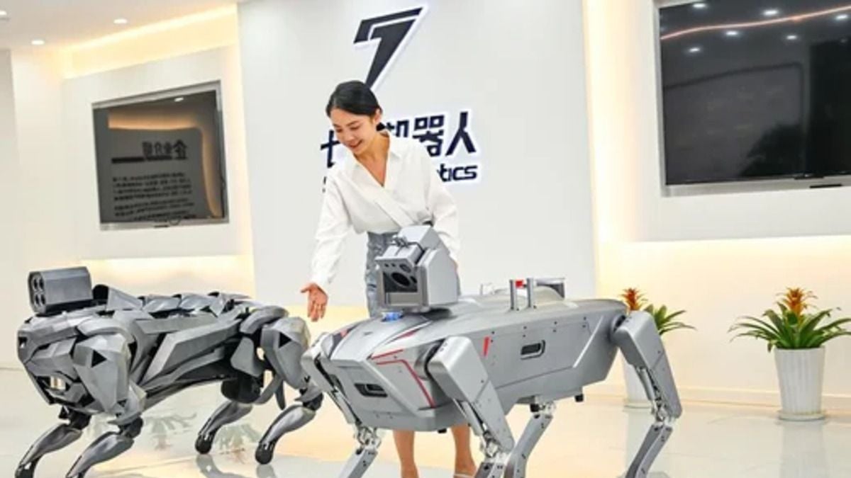 Industria china impulsa la adopción de robots humanoides pese a retos de rentabilidad 12 Industria china impulsa la adopción de robots humanoides pese a retos de rentabilidad
