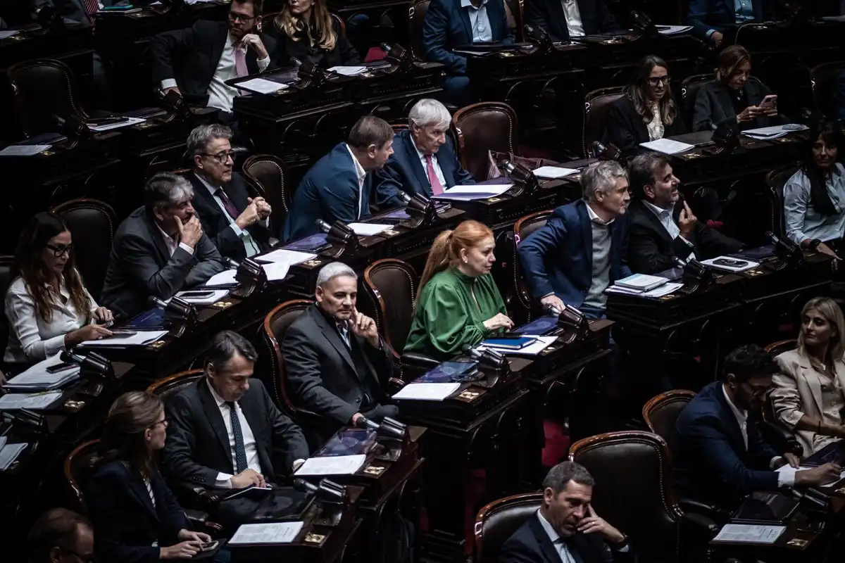 Cámara de Diputados argentina aprueba las protecciones de Milei a la propiedad privada pero restituye la Ley de Tierras