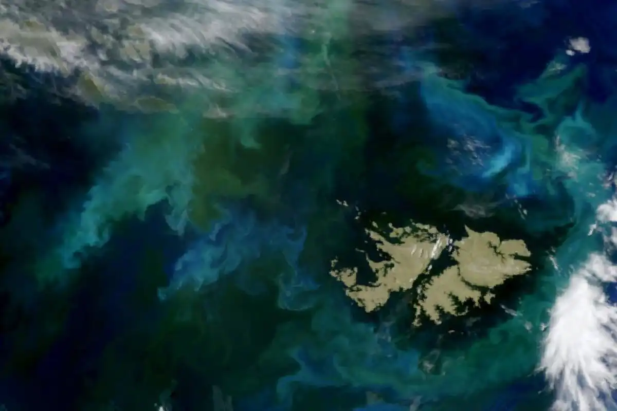 Reino Unido reivindica su soberanía sobre las Malvinas y defiende la autodeterminación de sus habitantes 7 Reino Unido reivindica su soberanía sobre las Malvinas y defiende la autodeterminación de sus habitantes