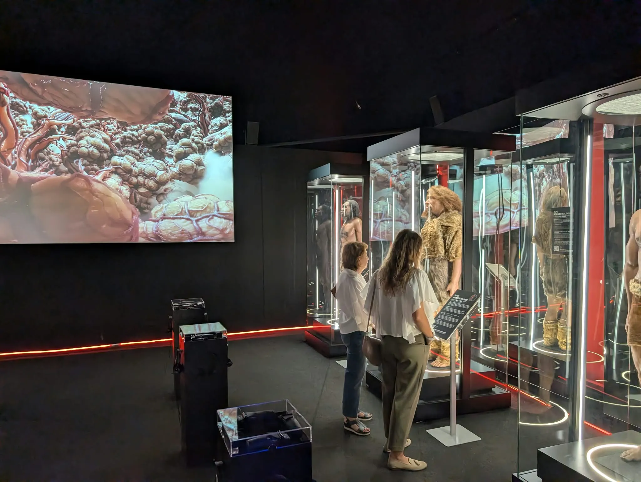 Human Universe: un viaje por el cuerpo humano que culmina con una espectacular experiencia en 3D