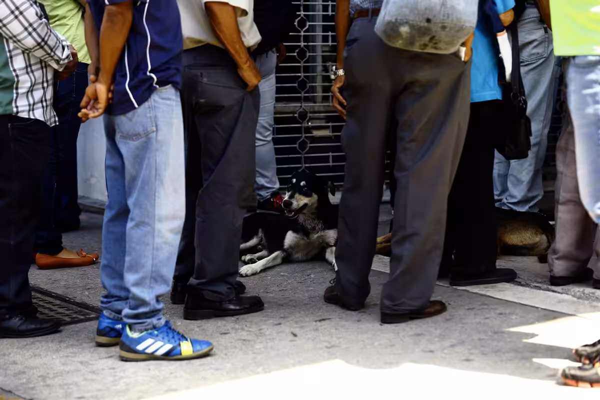 La OIM alerta de las “necesidades urgentes” de los desplazados por los “devastadores terremotos” en Venezuela