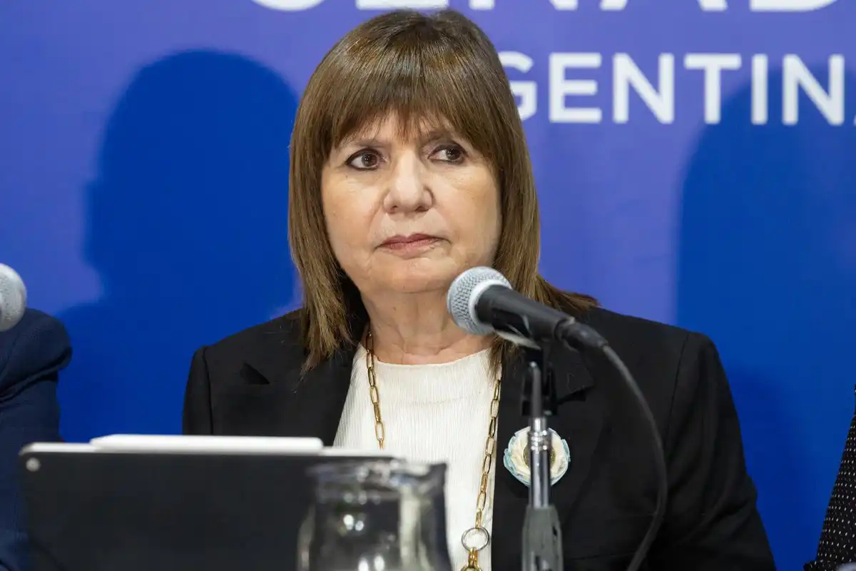 El partido de Milei defiende a Flávio Bolsonaro y denuncia un acto de persecución política tras su huida a EEUU 6 El partido de Milei defiende a Flávio Bolsonaro y denuncia un acto de persecución política tras su huida a EEUU
