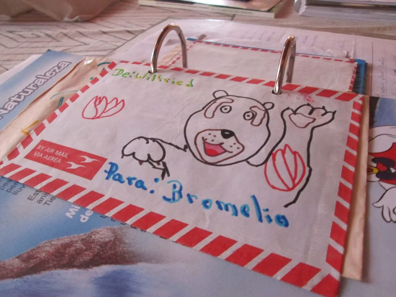 El oso sí tiene quien le escriba