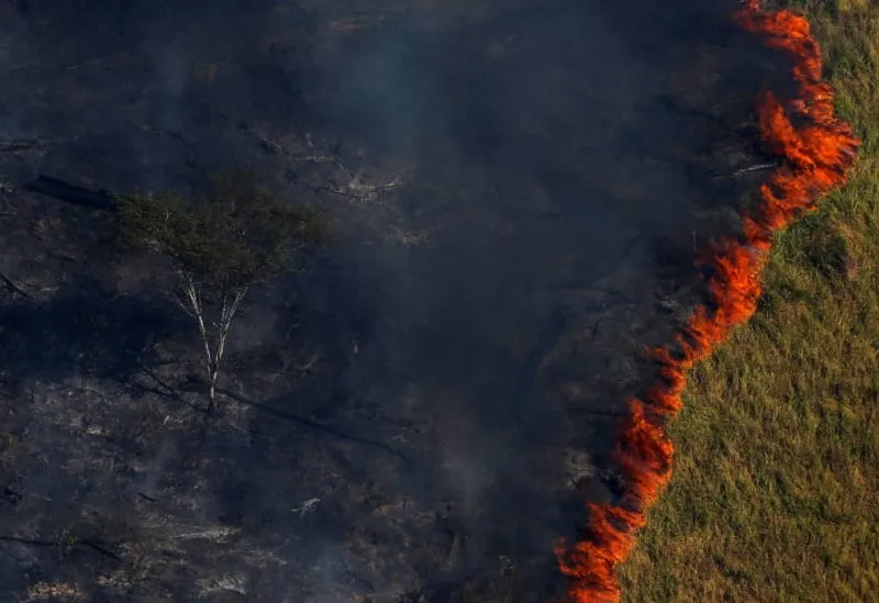 Plantón por la Amazonía en Lima