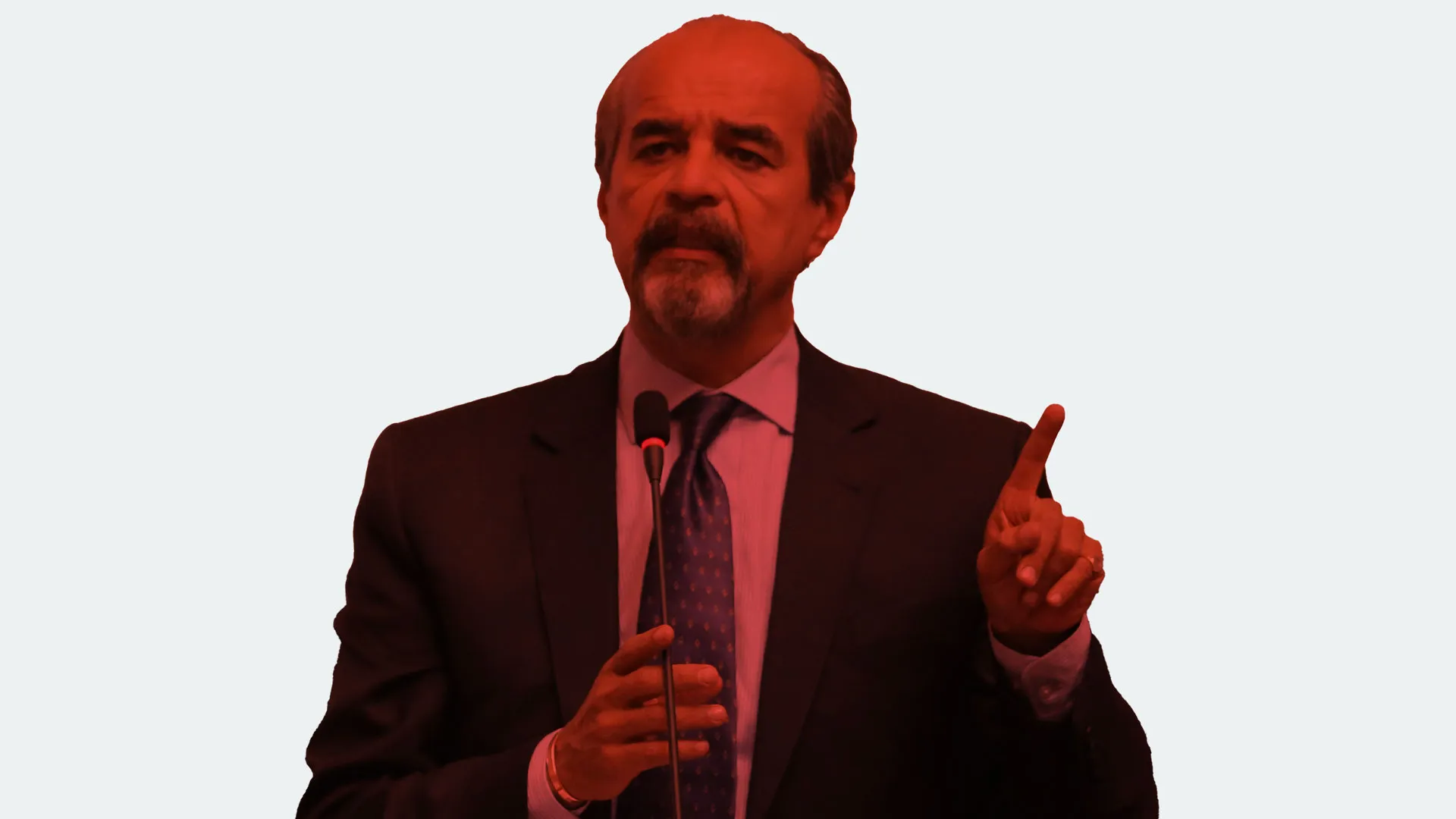 nueva constitucion mauricio mulder