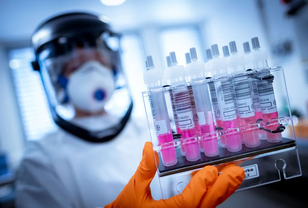 Oxford: AstraZeneca pausó las pruebas de la vacuna contra el coronavirus