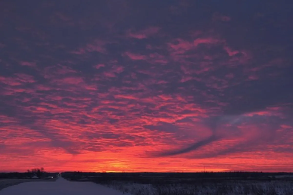 El solsticio de invierno y de verano en cuarentena