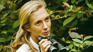 01 jane goodall difficult women