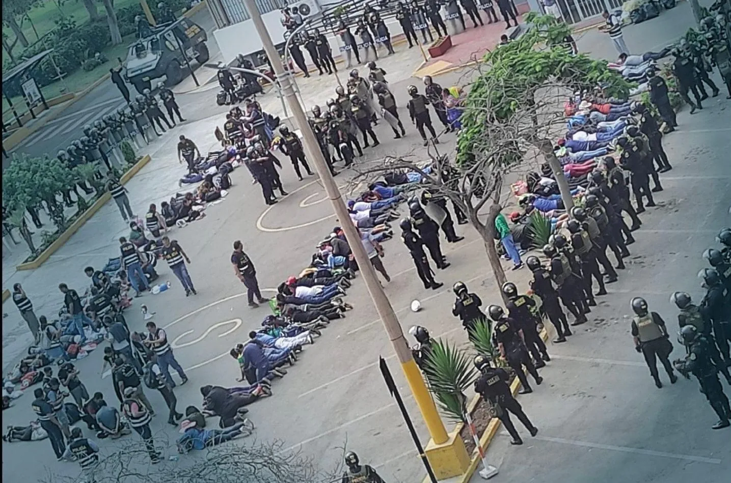 Brutal intervencion y humillacion a la inteligencia