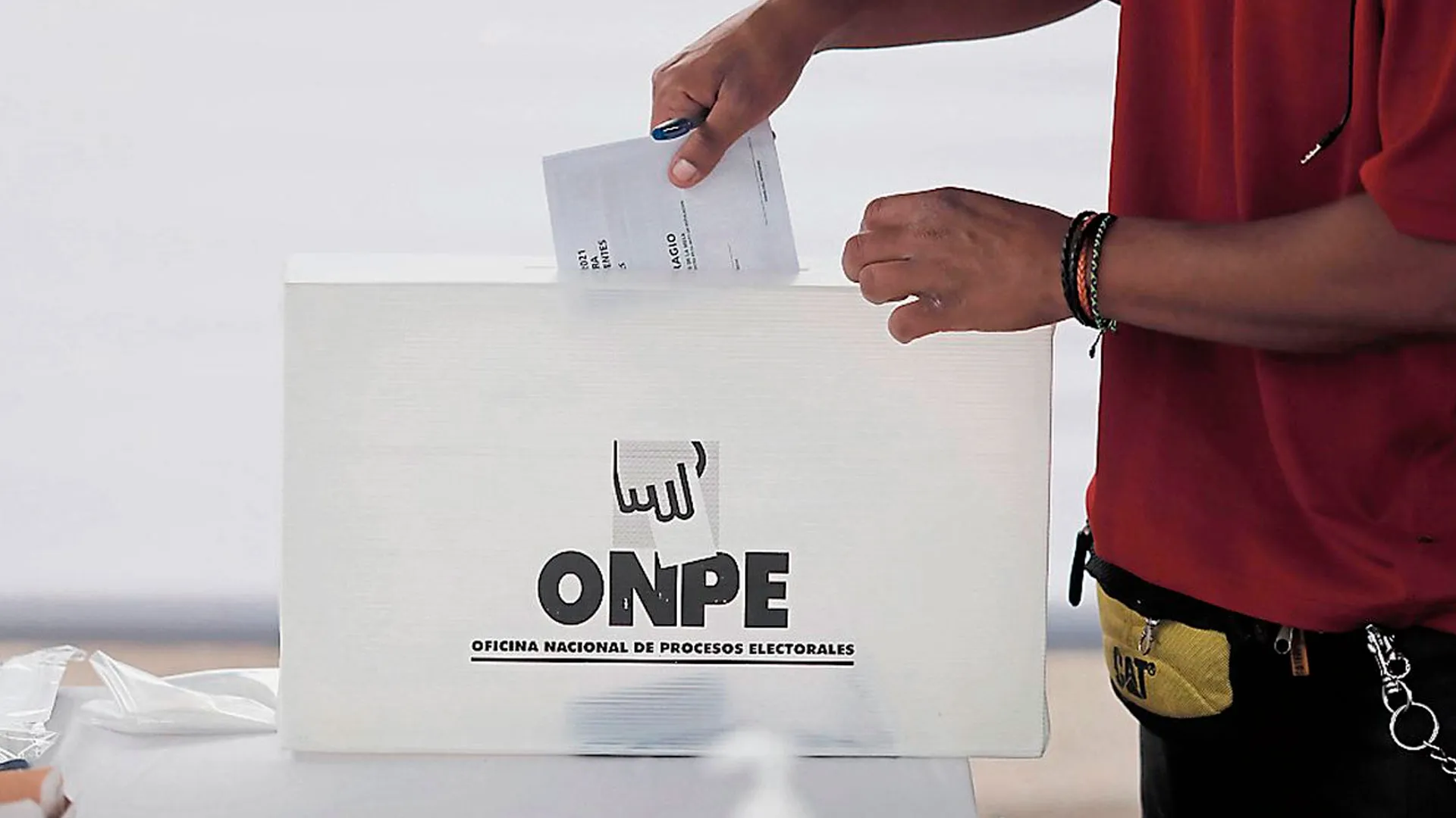 Chapa tu candidato y fumigalo