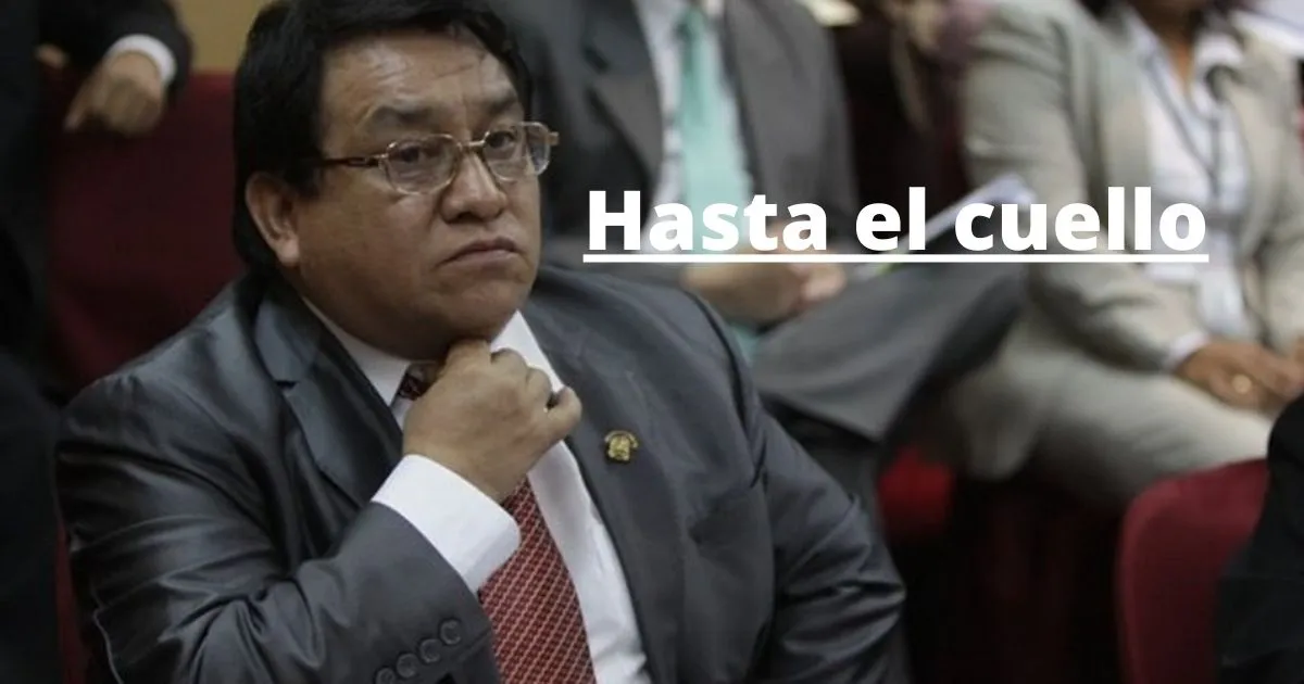 El Perfil Luna