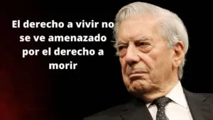 El Perfil Vargas Llosa