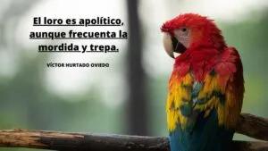 El Perfil lORO