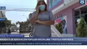 El perfil Pasco