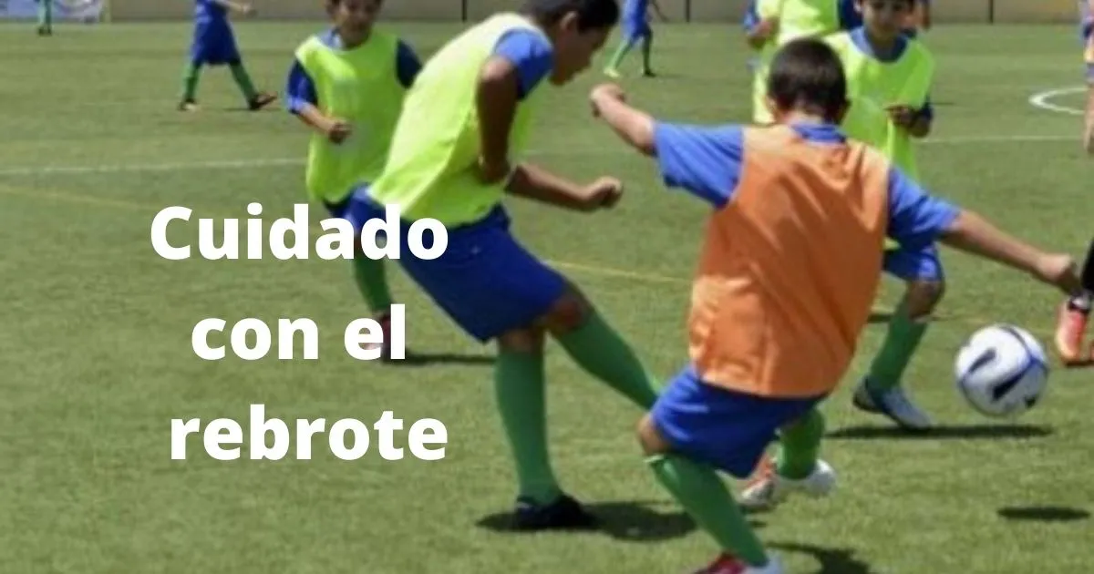 El perfil Rebrote