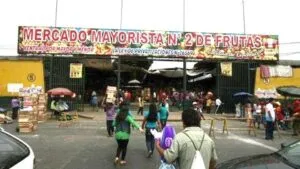 Pretenden apoderarse del terreno del mercado de frutas 1