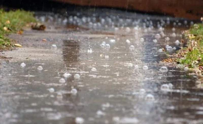 el olor de la lluvia 1
