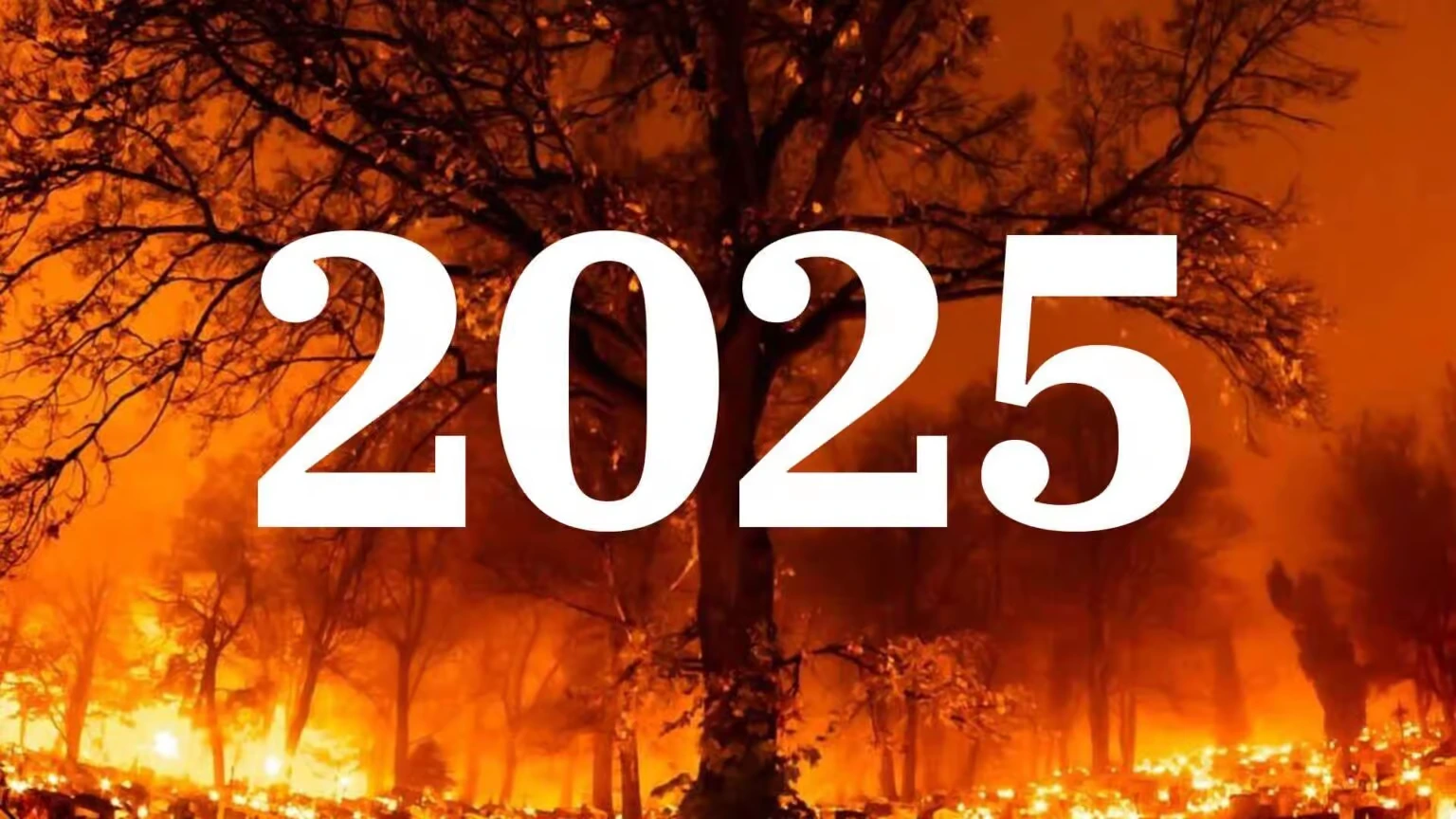 2025: El año que redefinirá el orden mundial entre guerras, desastres y avances tecnológicos