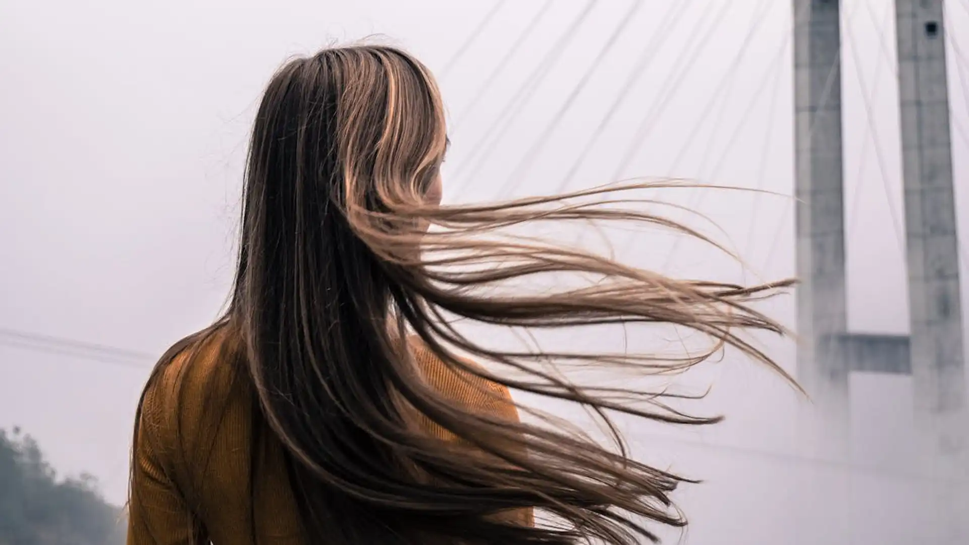 Cómo mantener un cabello saludable siguiendo hábitos sencillos, según especialistas | Foto: Pexels