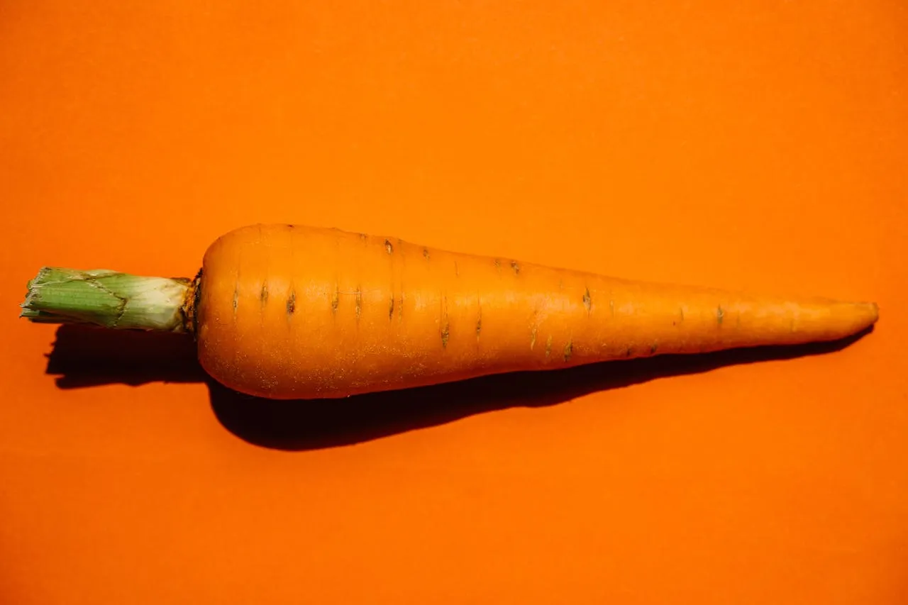 Por qué deberías enterrar cáscaras de zanahoria en tu jardín | Foto: Pexels