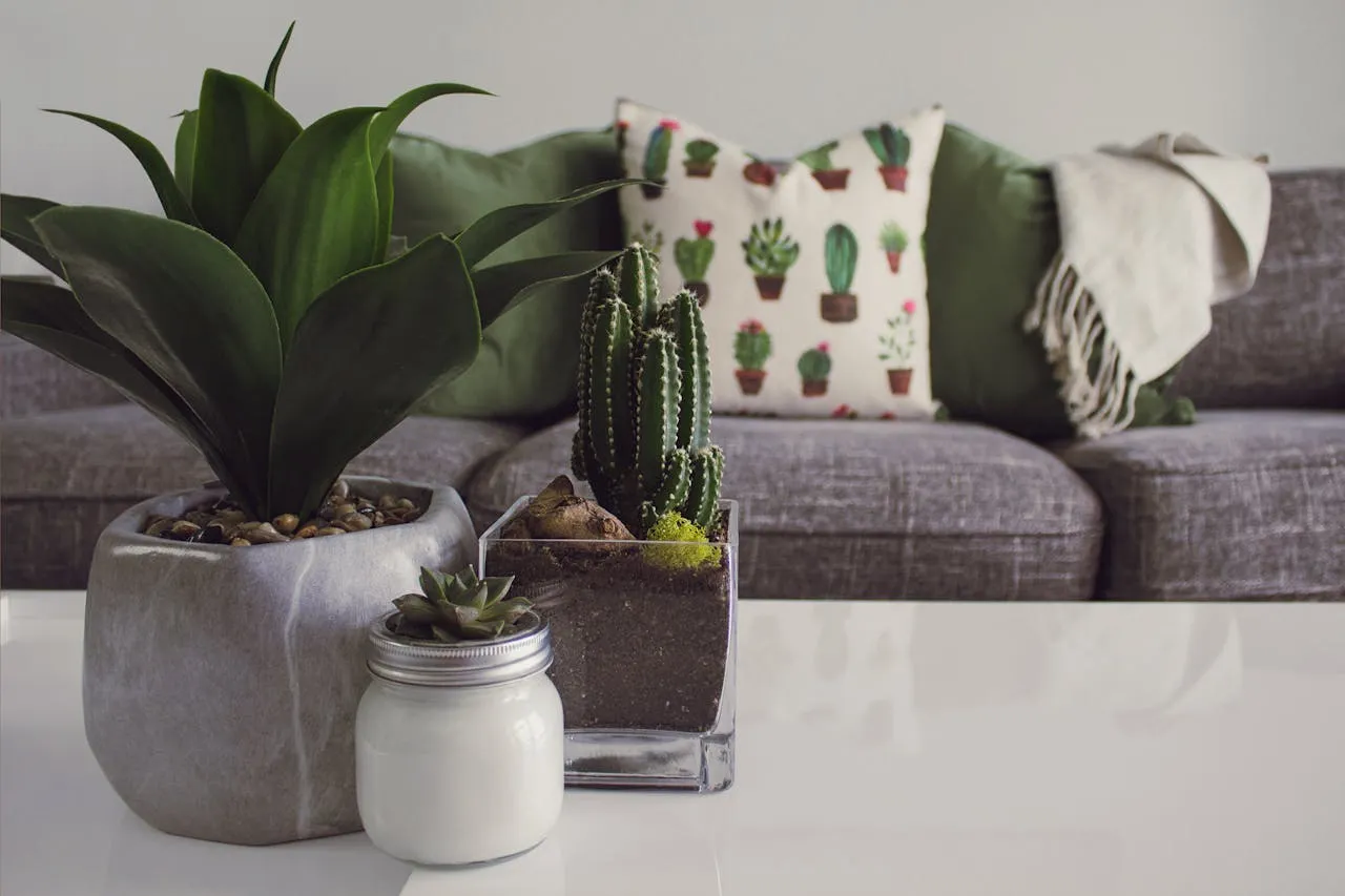 Por qué llenar tu casa de plantas mejora el bienestar emocional, según expertos | Foto: Pexels