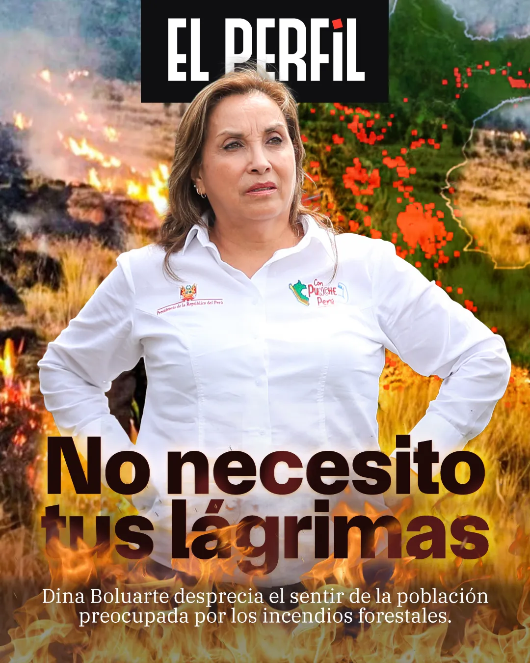Dina Boluarte desprecia el sentir de la población preocupada por los incendios forestales (EL PERFIL) 