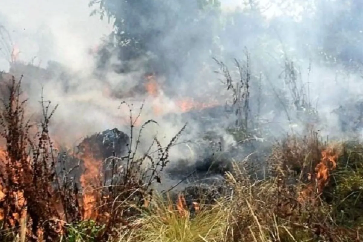 Incendios forestales en el Perú (Andina)