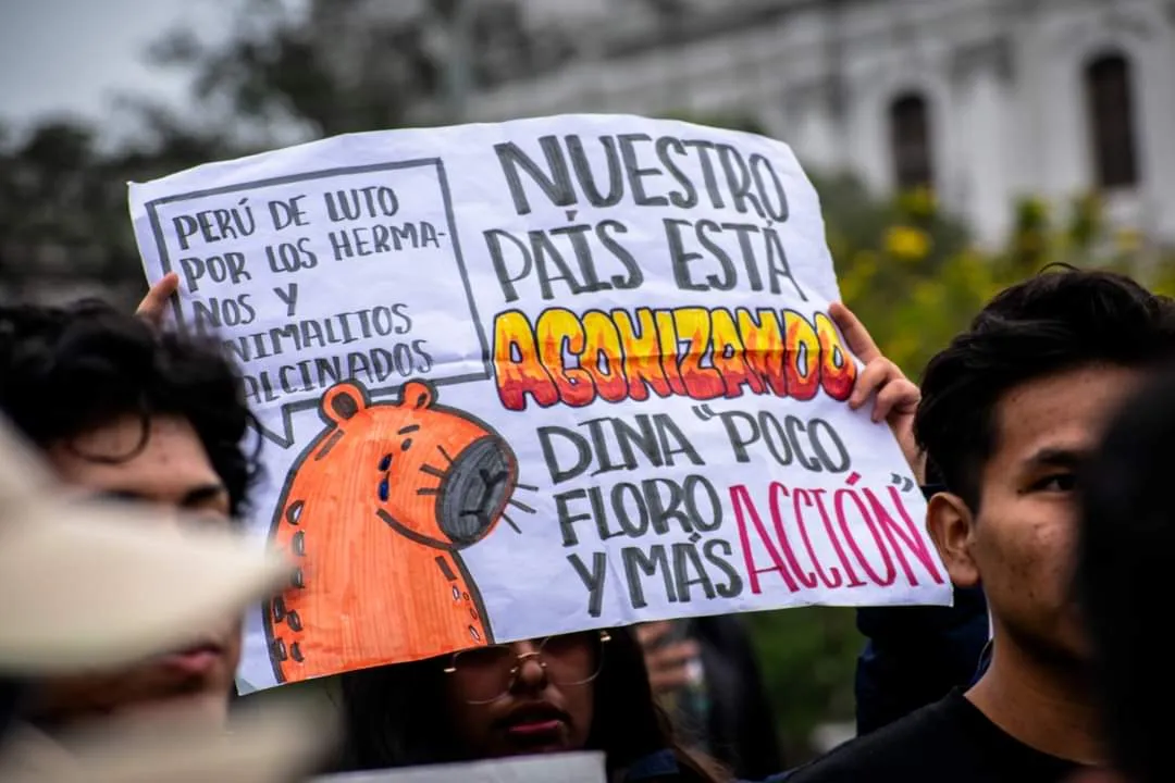 Un grupo de estudiantes levantó sus voces pidiendo una respuesta efectiva del gobierno frente a los devastadores incendios que afectan al país (Foto: Dany Seminario Coronado / EL PERFIL)