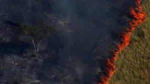 incendio en la amazonia