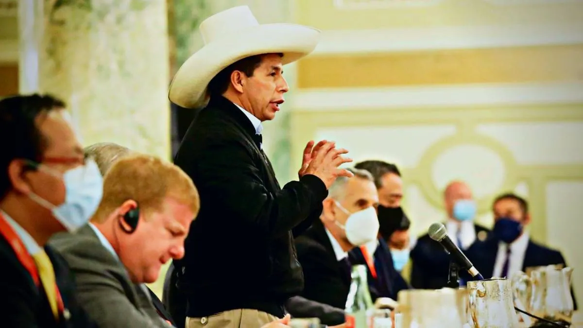 Castillo en la OEA: “La democracia no puede tener ningún espíritu de discriminación”