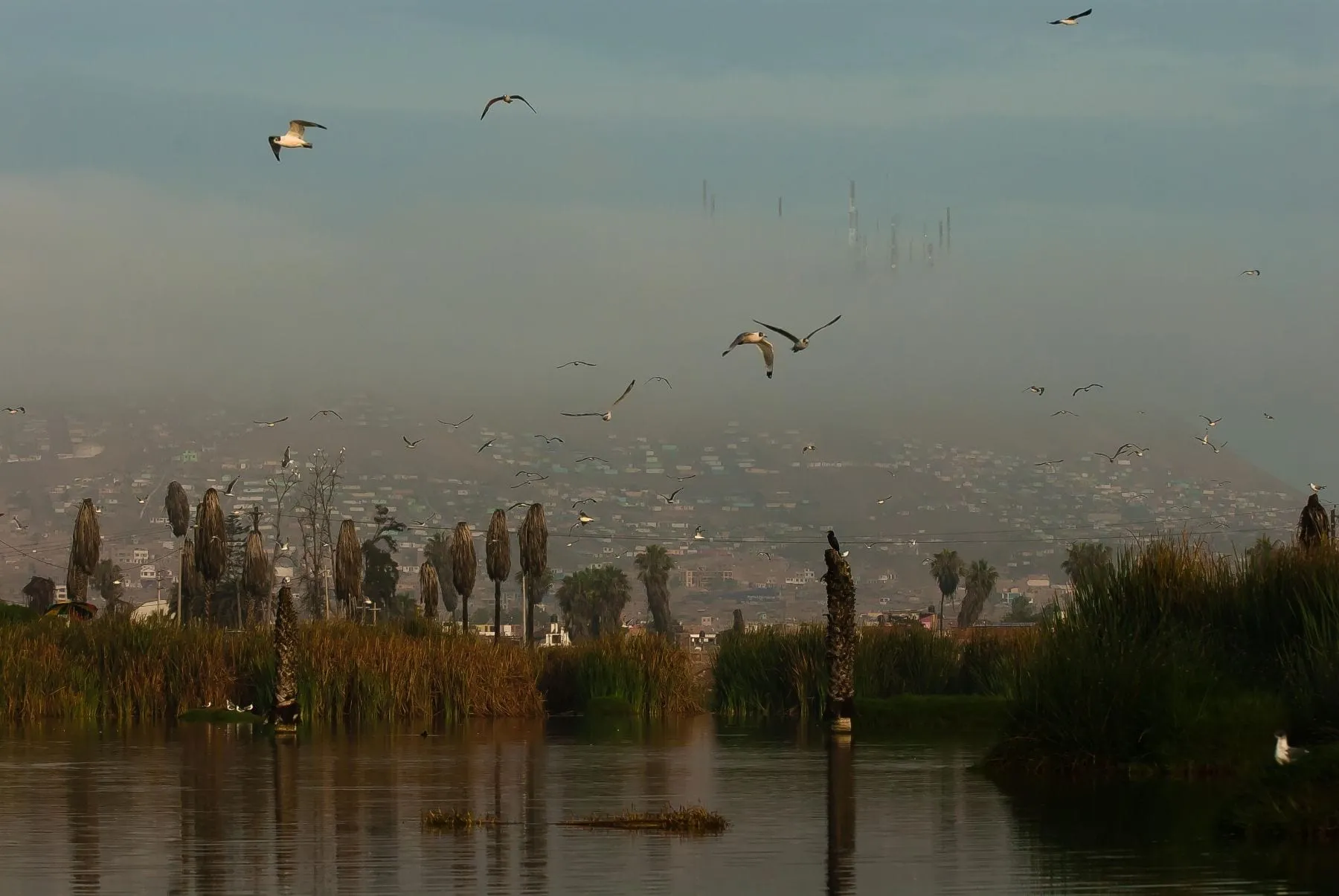 lago titicac 1