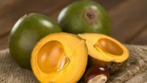 lucuma fruta 1