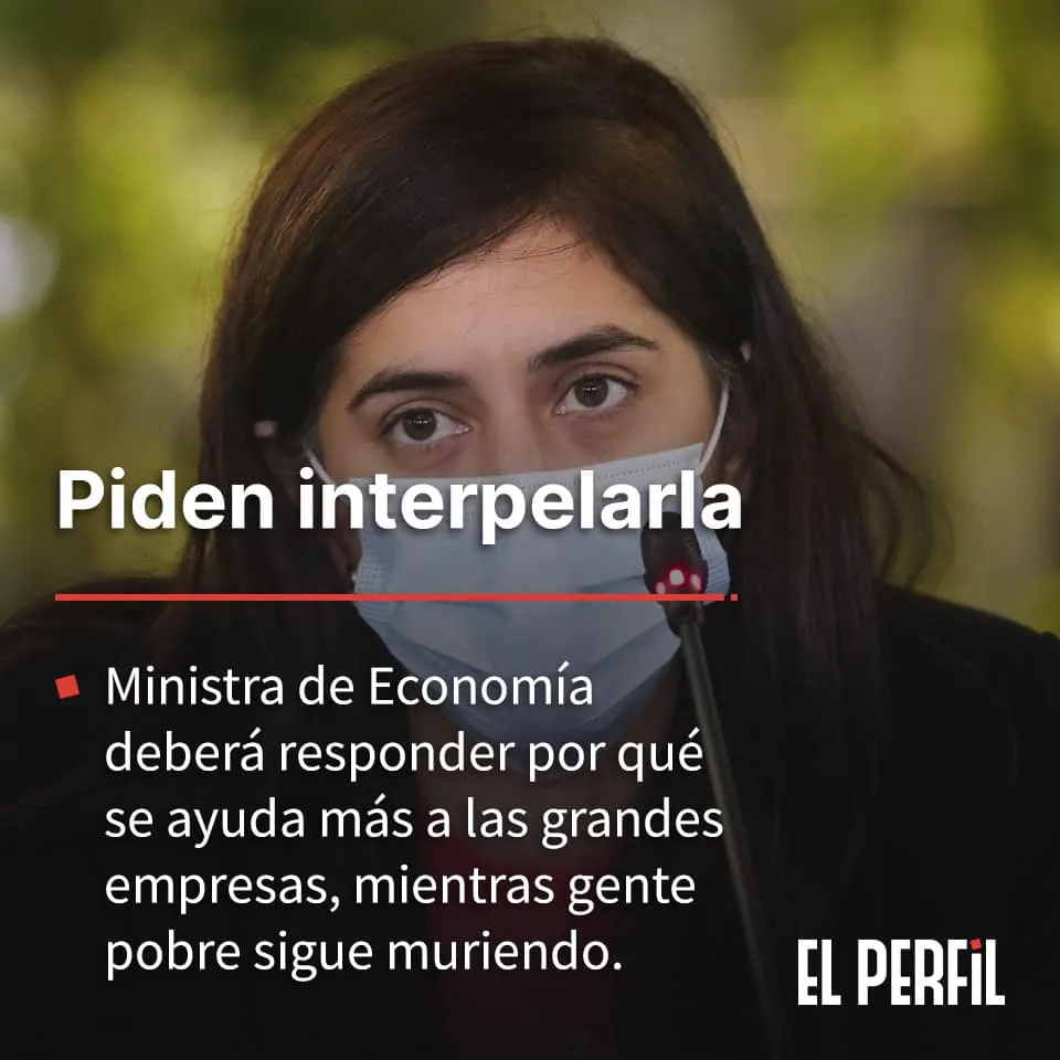 Ministra de Economía deberá responder por qué con plata del Estado se ayuda más a grandes empresas 2 ministra