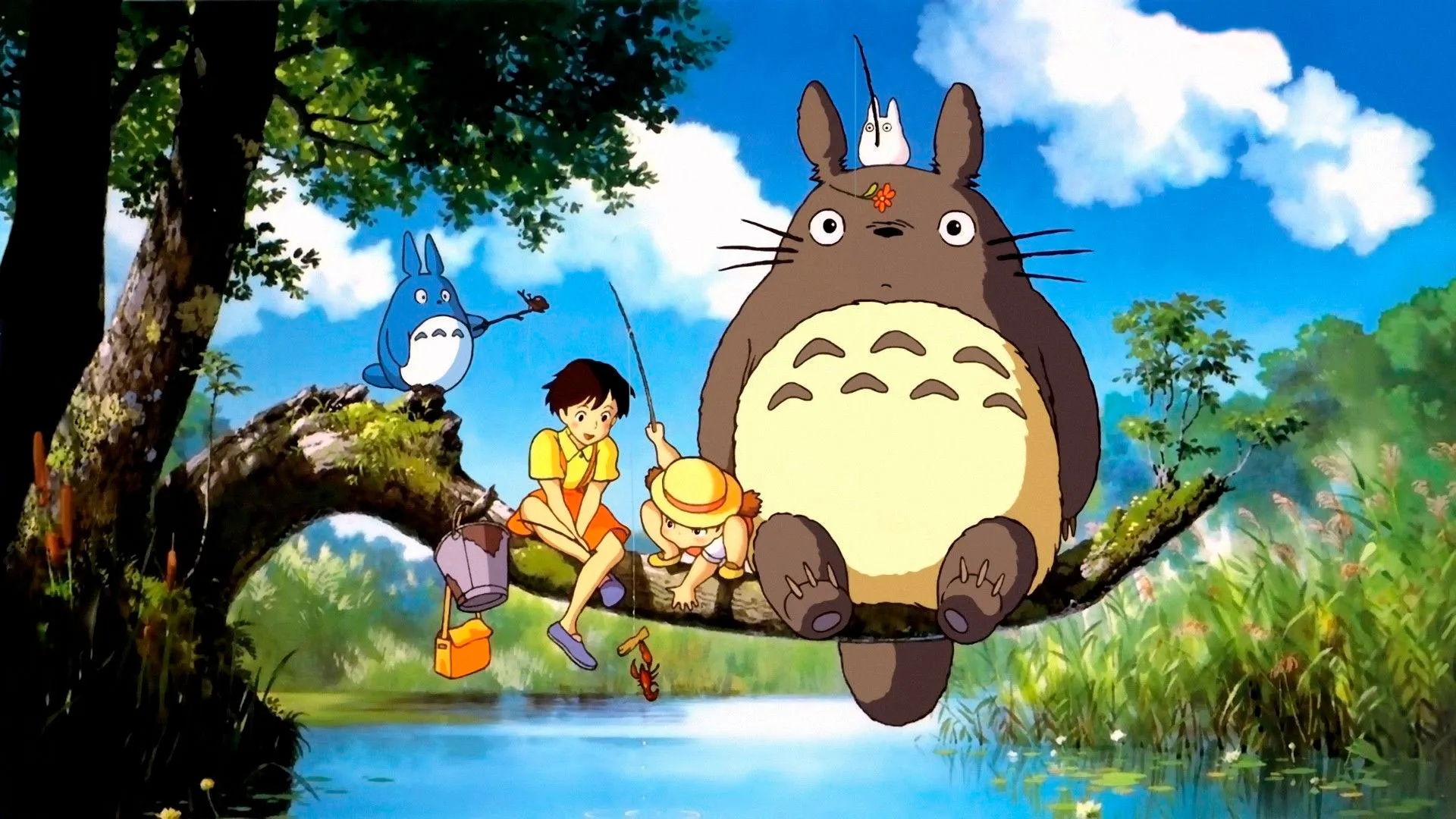 totoro sale en vinilo