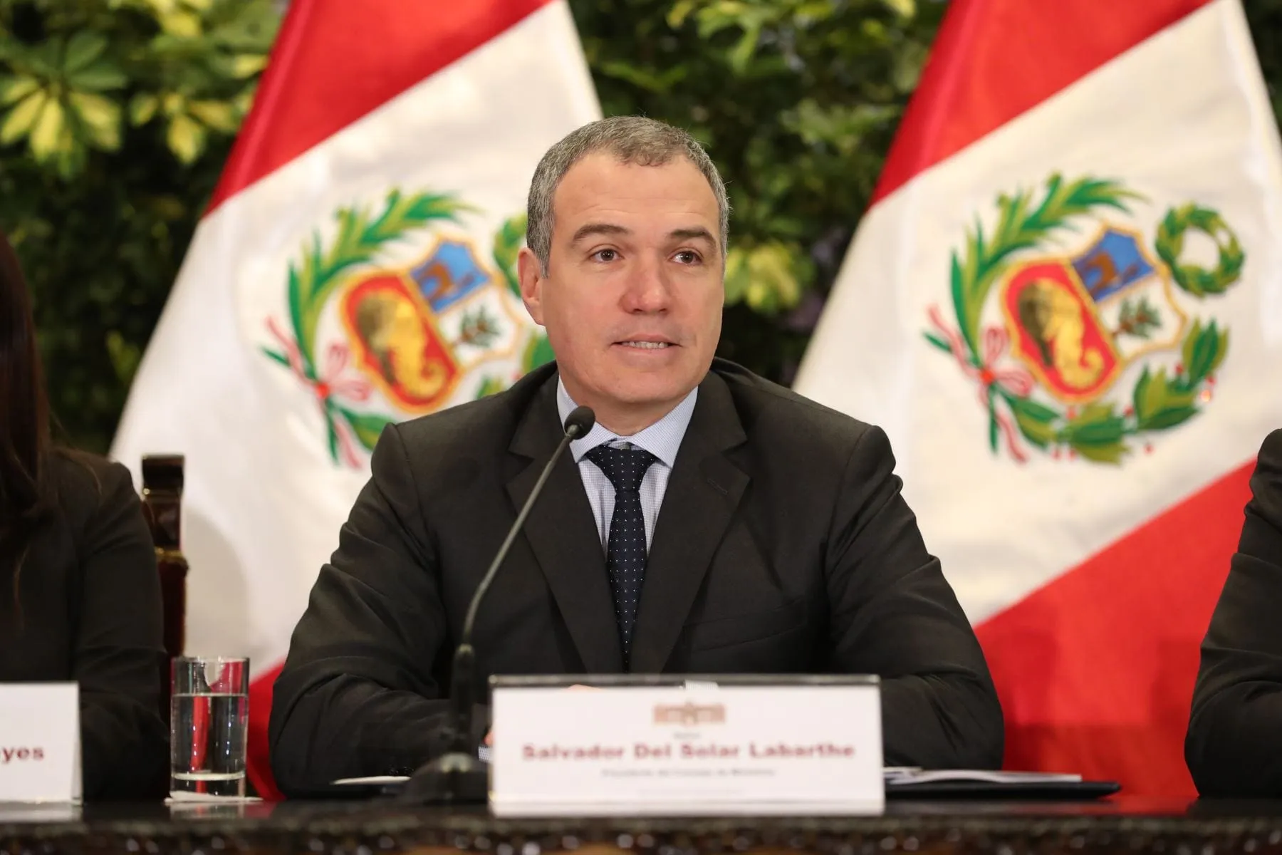 Del Solar: "Se dará mayor relevancia a adelanto de elecciones"