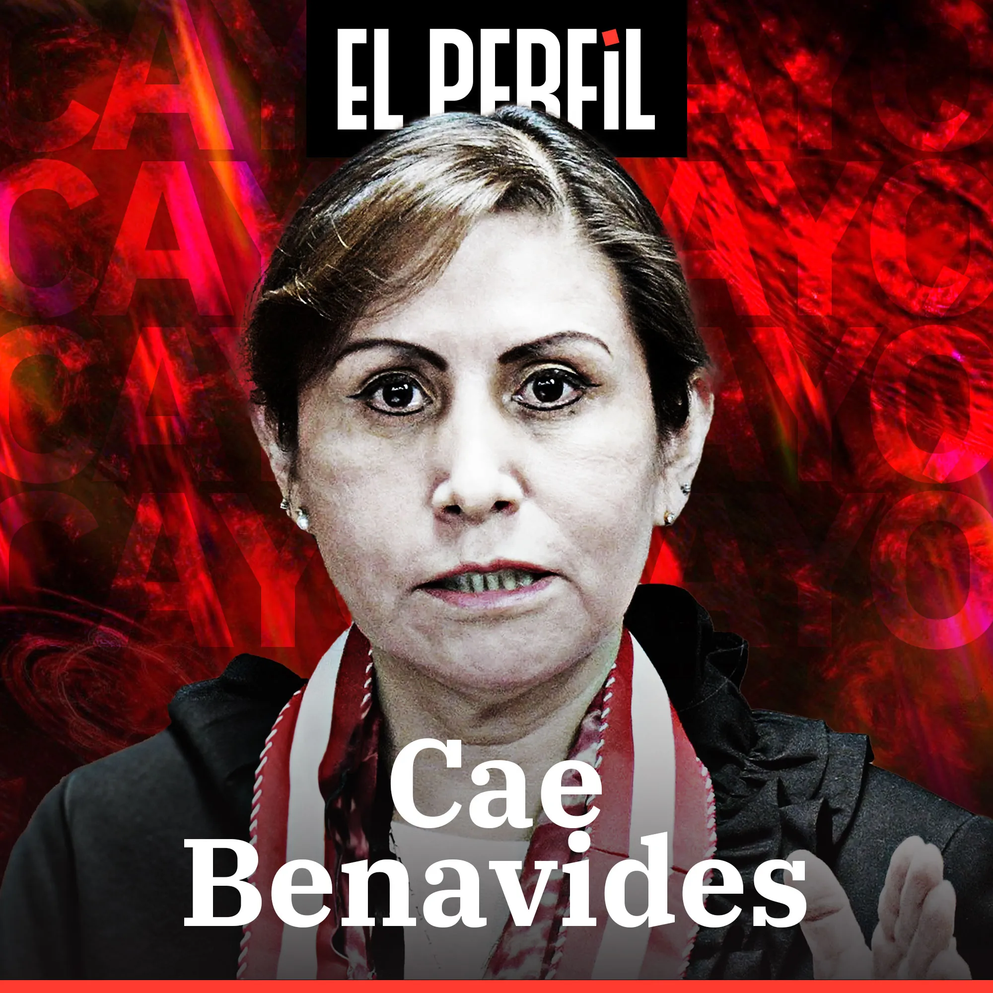 Cayó Patricia Benavides (EL PERFIL)