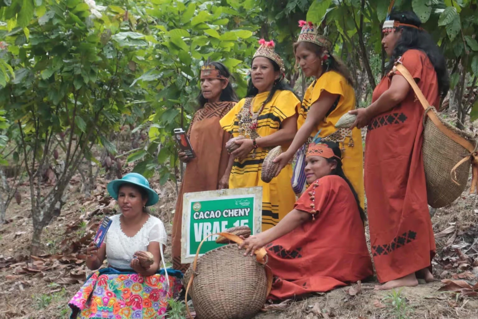 De Satipo su cacao