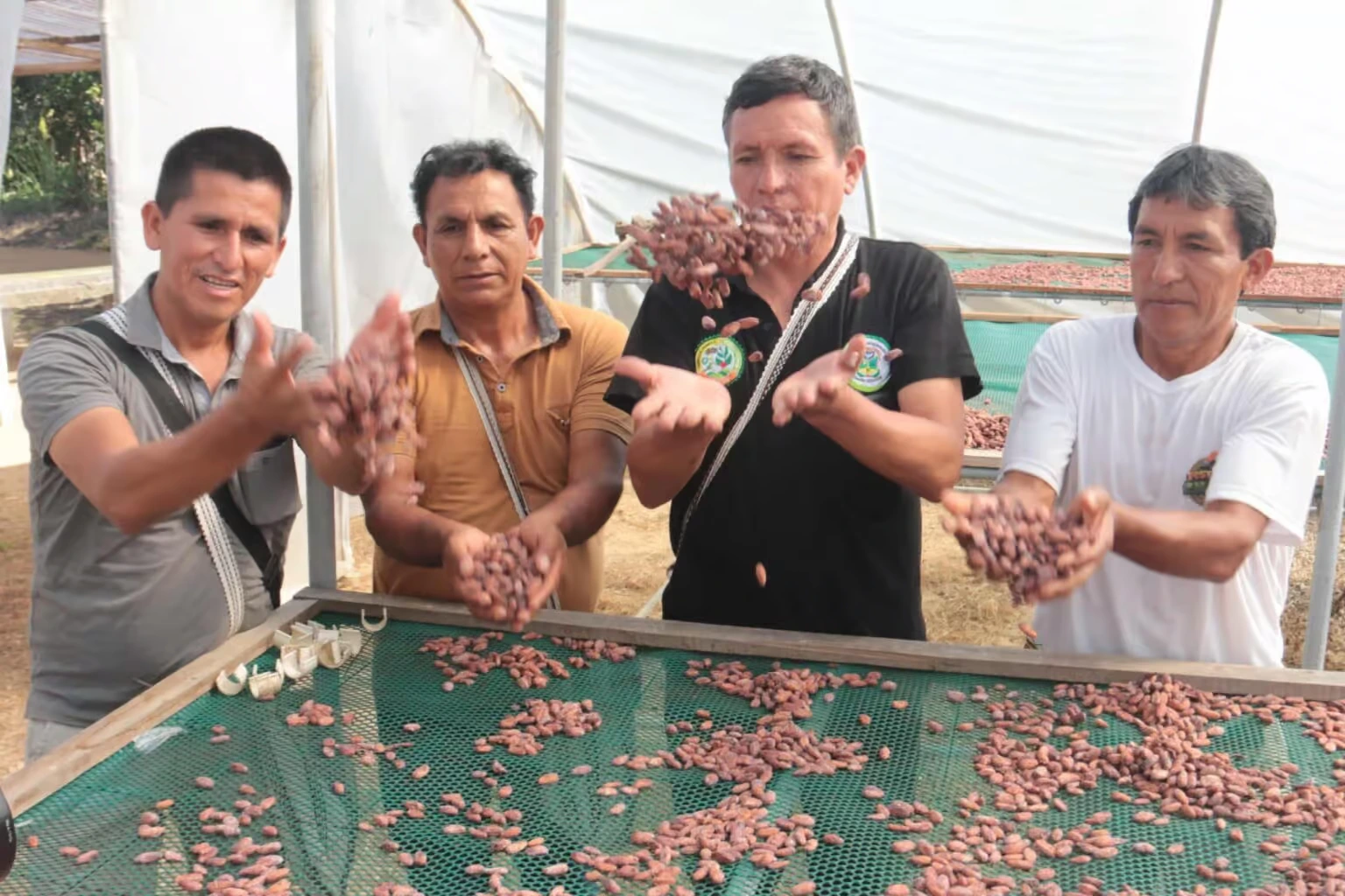 ELPERFIL_08052024_festival montañas cacao finos aroma 09 La provincia juninense de Satipo se alista para el "II Festival Montañas de Cacao Finos de Aroma" que se desarrollará del 30 de mayo el 2 de junio (Álvaro Farroñay)
