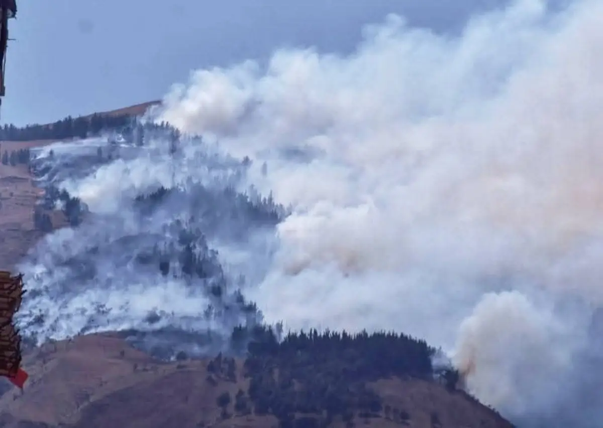 Bolivia declara la emergencia nacional por los incendios forestales