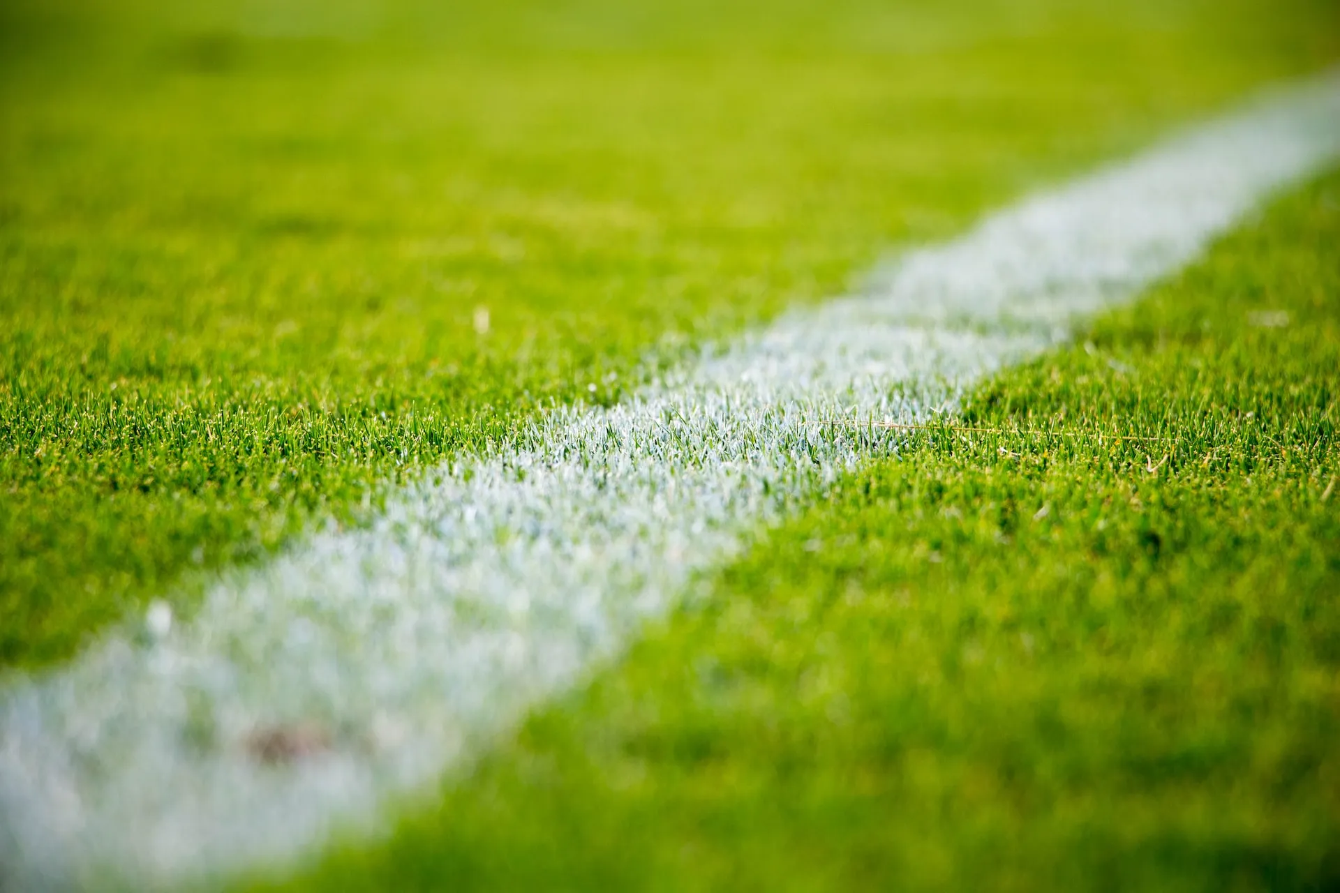 La importancia de la información deportiva en las apuestas